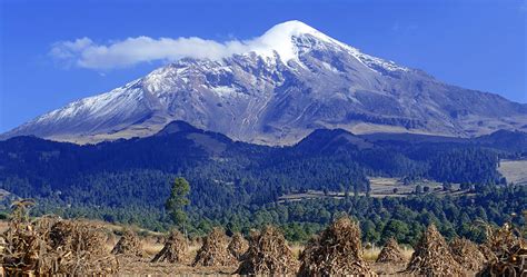 Los 7 mejores Psicólogos expertos en ansiedad en Orizaba