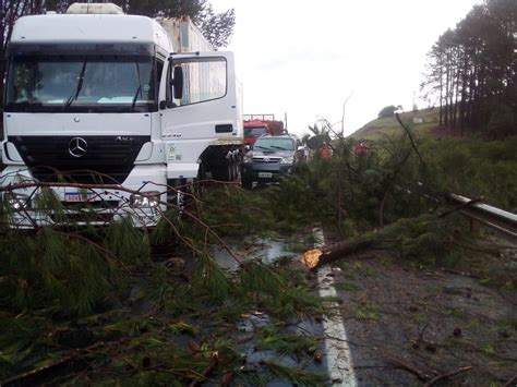 Temporal Arranca Rvores E Quase Causa Trag Dia Na Br