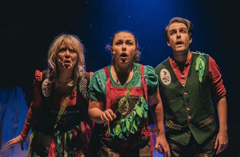 The Elves And The Shoemaker Save Christmas Social Story Pocklington