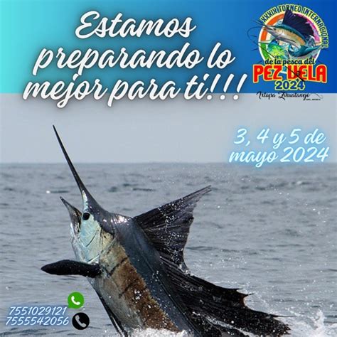 Cuándo es el Torneo Internacional del Pez Vela 2024 Ixtapa Zihuatanejo