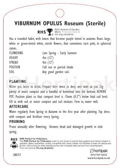 Viburnum Opulus Roseum Steril Elastic Loop Attached Hortipak E Store