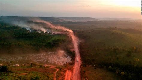 The Amazon Rainforest Could Disappear In Less Than 50 Years Once