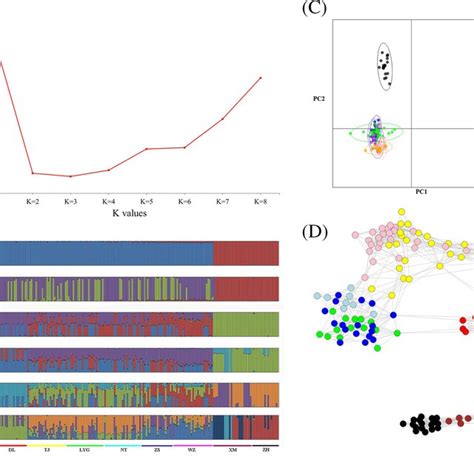 Population Structure Analysis A Cv Plot For The Admixture Analysis