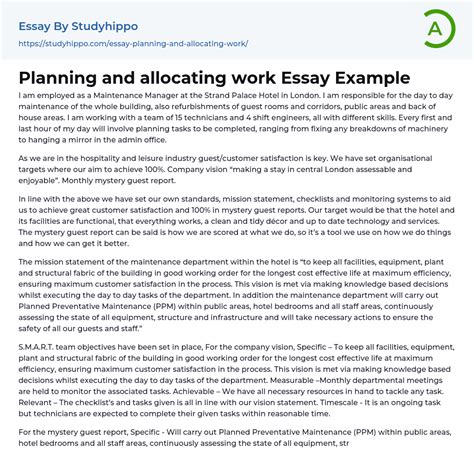 Planning And Allocating Work Essay Example Studyhippo