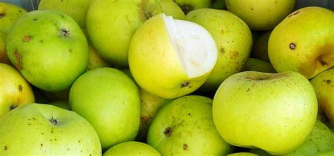 Fotos Gratis Paisaje Naturaleza Ligero Sol Fruta Verano Comida