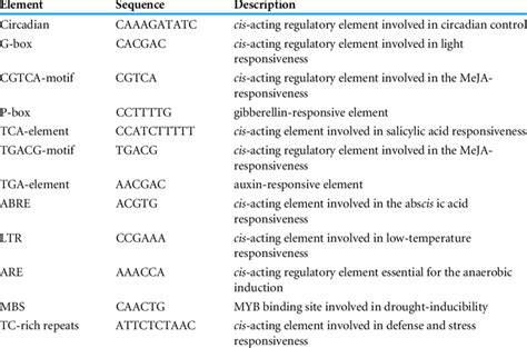 Summary Of Cis Acting Elements Of Solanum Lycopersicum Shmt Genes