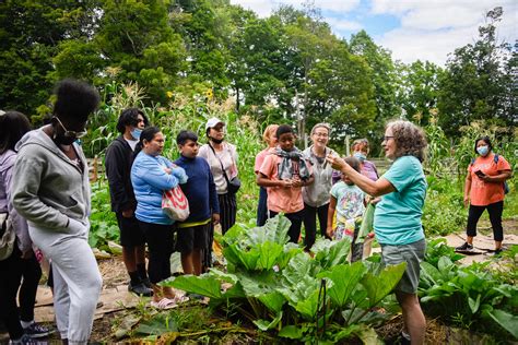 Five Fun Family Outdoor Activities | The Fresh Air Fund