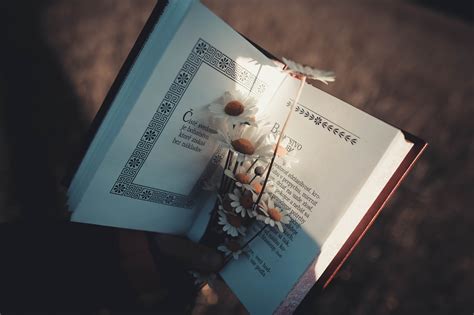 Stocizmus Philosophy Book - Free photo on Pixabay