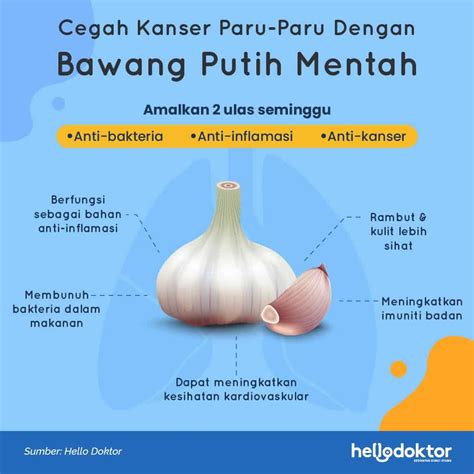 Khasiat Bawang Putih Ada Banyak 7 Manfaat Ini Antara Yang Terkenal