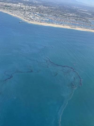 Catastrophic California Offshore Oil Spill Kills Fish Damages