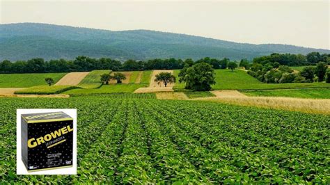 Prestop El Fungicida Biológico Nutrifitos Tecnología Hortícola