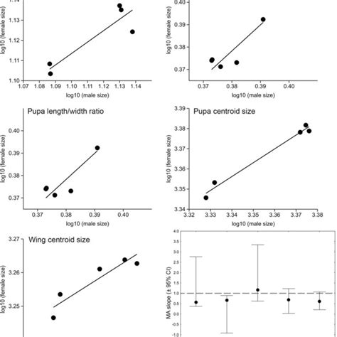 The Major Axis Linear Regression Of Female And Male Log‐transformed