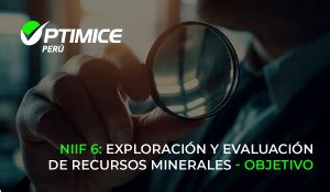 Niif Exploraci N Y Evaluaci N De Recursos Minerales Objetivo