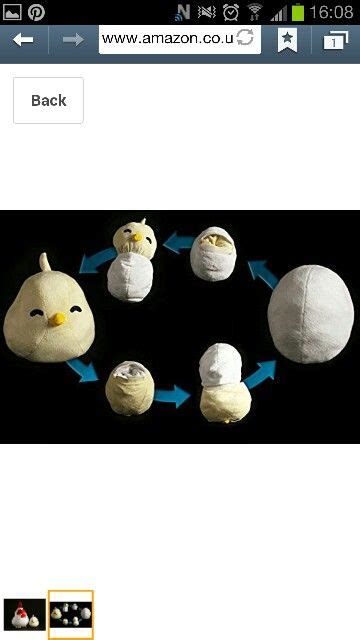 Harvest moon chickens | Harvest moon, Chickens, Harvest