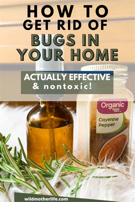 How to Get Rid of Bugs in Your House (Nontoxic and Effective) - Wild Mother