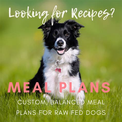 Raw Food Co-Ops Near Me | Keep the Tail Wagging