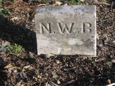 Newton Walker Bellamy 1833 1893 Find A Grave Memorial