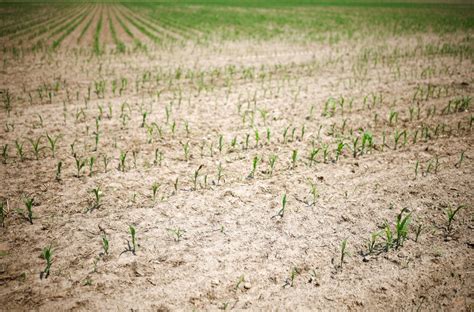 Sécheresse une grande partie de la Meurthe et Moselle en alerte