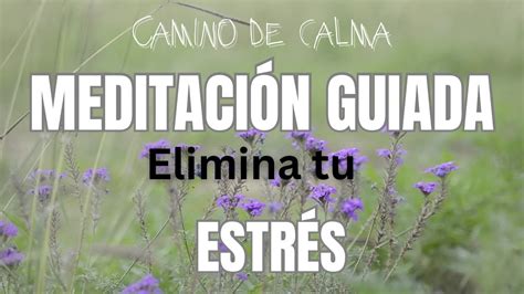 La mejor MEDITACIÓN GUIADA para soltar el ESTRÉS5 minutos YouTube