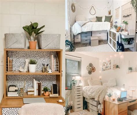 12 Best And Trendy College Dorm Room Ideas To Transform Your Space