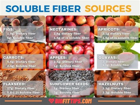 Foods high in soluble fiber - educationjolo