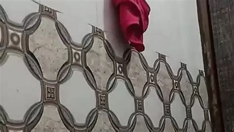 Vídeos gay de Felching xHamster