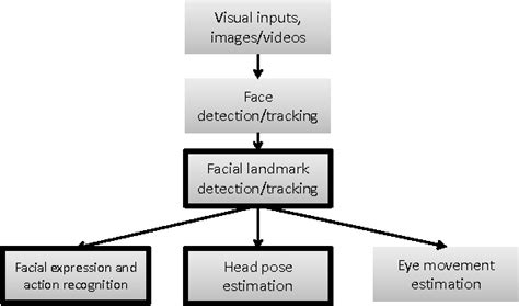 Facial Landmark Detection And Tracking For Facial Behavior Analysis