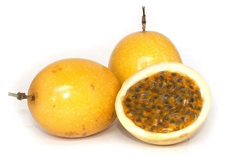 Yellow Passion Fruit – Florida Plants Nursery