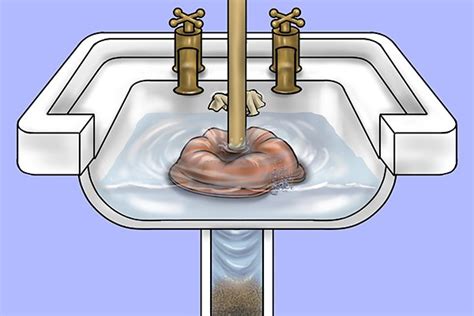 How Does A Plunger Work In A Toilet - Riset