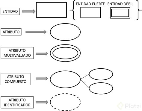 Qu Son Entidades Y Atributos Platzi