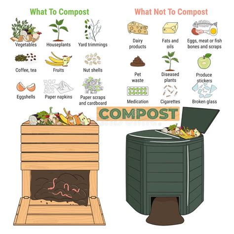 Infographie Du Bac De Compostage De Jardin Avec Des Déchets Quoi