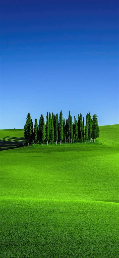 green meadows in tuscany landscape scenery 4k iPhone Wallpapers Free ...