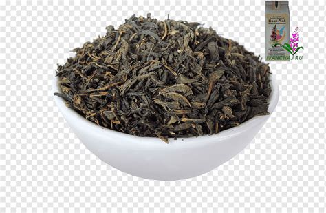 Hōjicha nilgiri té oolong earl grey té té h jicha Nilgiri png PNGWing