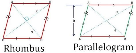 Parallelogram And Rhombus