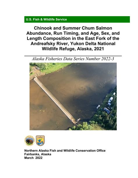 Pdf Chinook And Summer Chum Salmon Abundance Run Timing And Age