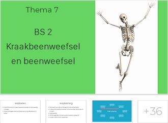 Gt Max Editie Thema Stevigheid En Beweging Les Lessonup