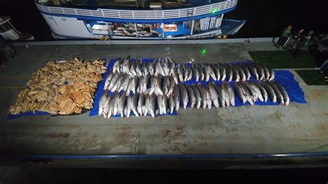 Base Arpão apreende 12 toneladas de pescado ilegal em Coari SSP