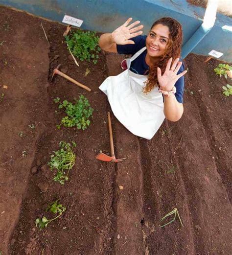 Horta coletiva sensibiliza para o cuidado ambiental Colégio Santa