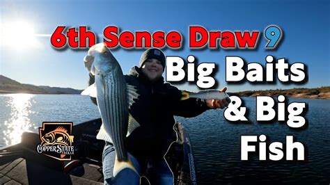 Th Sense Draw Big Baits And Big Fish Youtube