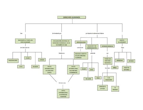 Mapa Conceptual De Los Derechos Humanos Mapas Conceptuales