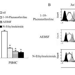 Effect Of Protease Inhibitors On SCD226 Level And MCD226 Expression Of