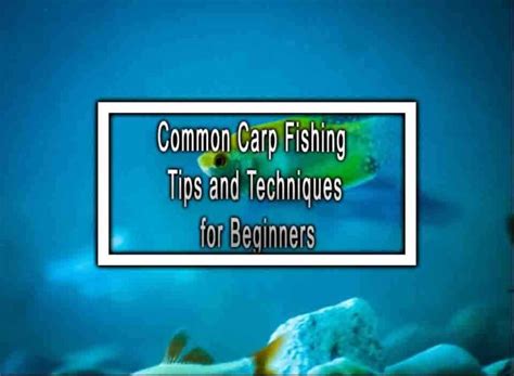 Common Carp Fishing Tips and Techniques for Beginners