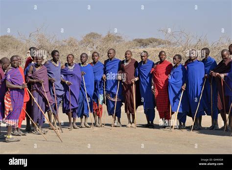 Geography Travel Tanzania Masai Woman Men At Dance Ndema