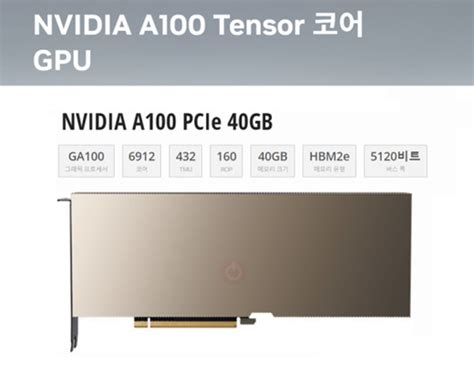 인팍쇼핑 -NVIDIA Tesla A100 40GB Tensor Core GPU : PC부품/주변기기
