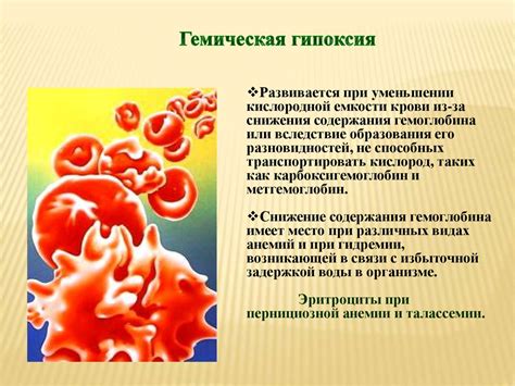 Гипоксия. Классификации высотной гипоксии - презентация онлайн
