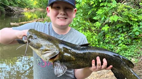 Crabtree Creek Lassiter Mill Flathead Catfish Fight Part Youtube