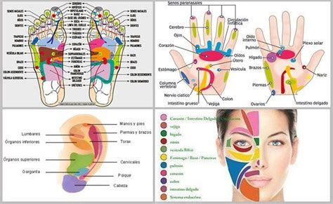 Reflexología Cómo Funciona Y Todos Sus Beneficios Reflexología Masaje Masajes Para Reducir