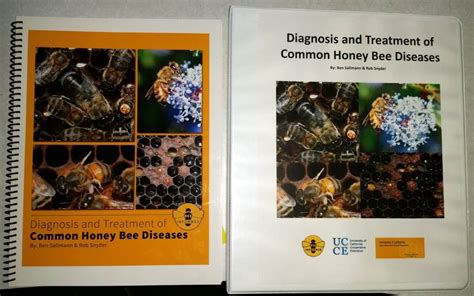 Bee Informed Partnership Diagnosis And Treatment Of Common Honey Bee