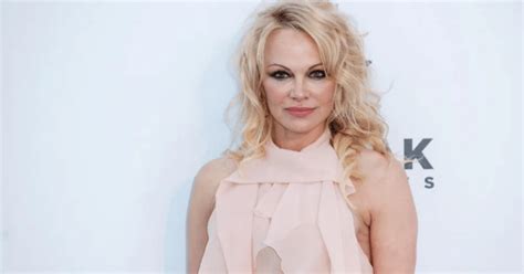 Pamela Anderson Net Worth: How She Built & Maintains Wealth - Net Worth Hub