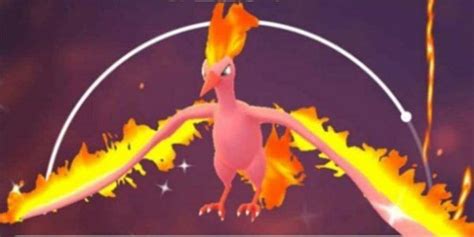 Shiny Moltres Has Arrived On Pokemon Go | Cinemablend